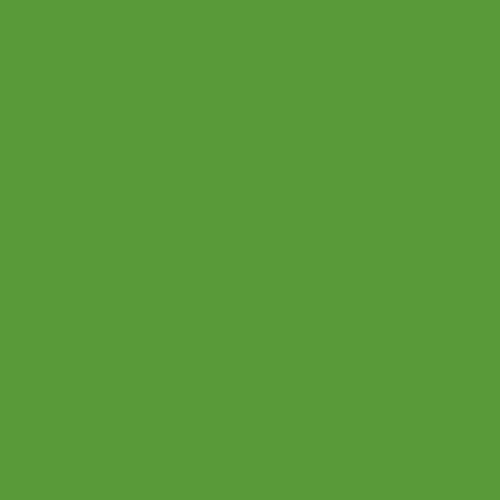 Yellow Green RAL 6018
